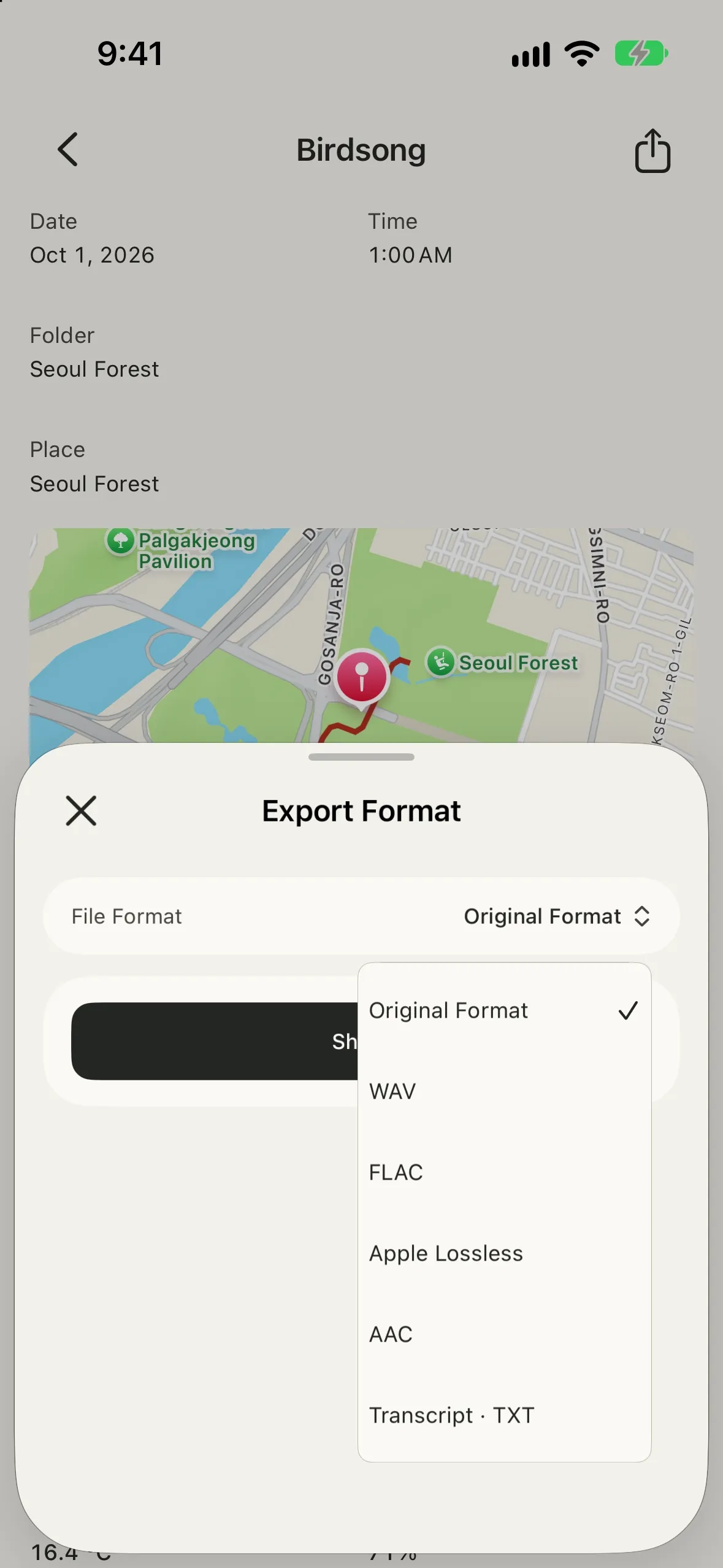 Choose an export format in the sharing sheet.